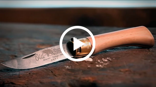 Antonini-Old-Bear-Knives-Video-2018-phot