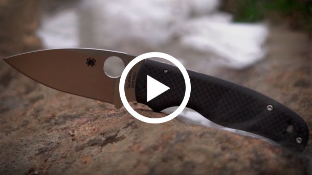 Spyderco-Sprint-Run-Shaman-EDC-Folding-Knife-Video-2019-photo-1