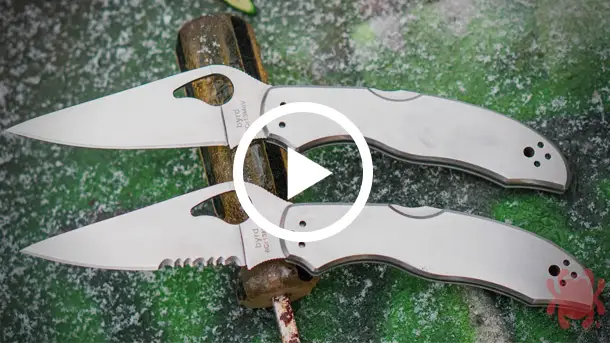 Spyderco-Byrd-Harrier-2-Stainless-Video-